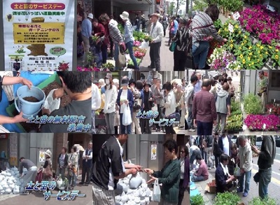 無料配布　土と苗のサービスデー　四谷二丁目発展会