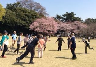 御苑歩き方教室　御苑の芝生の上で軽い体操等実施　スポッコ＋地区協
