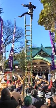 四谷須賀神社　梯子乗り披露2017.1.5　二人目 