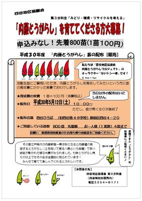 四谷名物 『 内藤とうがらし』 を育てませんか? 　 内藤とうがらし苗　販売会