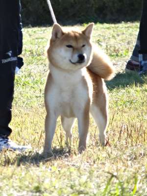 ちえ号　　　　　　　(美都常磐荘)
