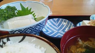 イカ刺し定食画像