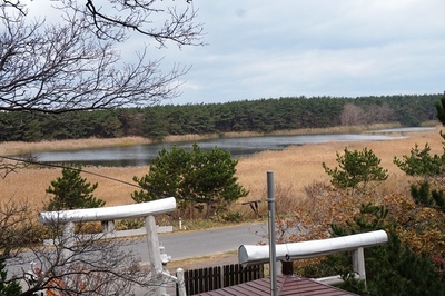 浜の明神