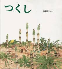 4月18日「つくし」