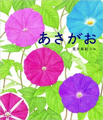 7月24日「あさがお」