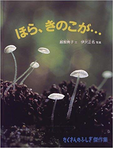 10月15日「ほら、きのこが・・・」