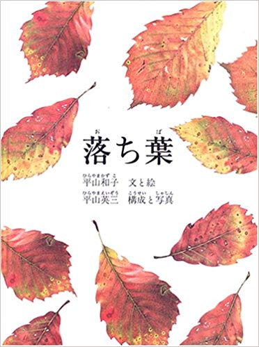 11月7日「落ち葉」