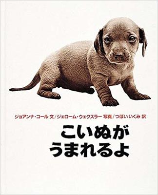 2月10日「こいぬがうまれたよ」