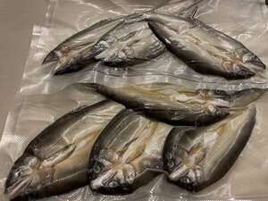 IMG_5049.jpeg