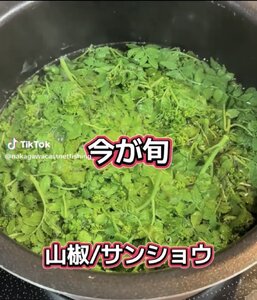 IMG_5104.jpeg