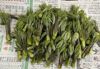 IMG_5121.jpeg