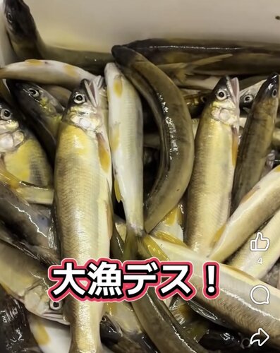 IMG_5692.jpeg