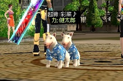 ブサカワ