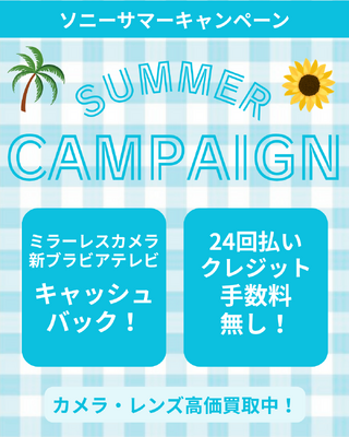 ソニーサマーキャンペーン.png
