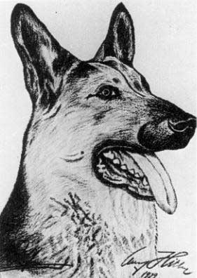 ヒトラーが描いた「犬」