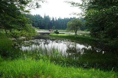 常花志園
