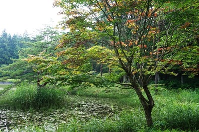 常花志園