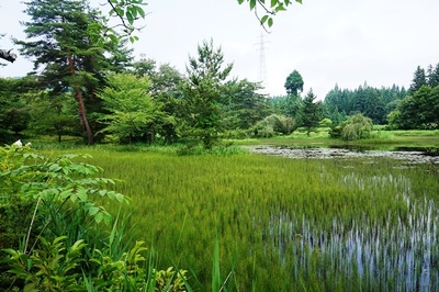 常花志園