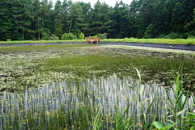 常花志園