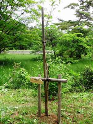 常花志園