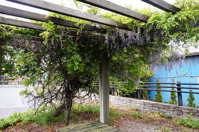 青森海岸記念公園