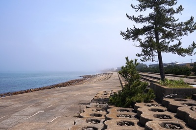 青森海岸記念公園