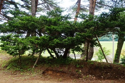 西田沢小公園