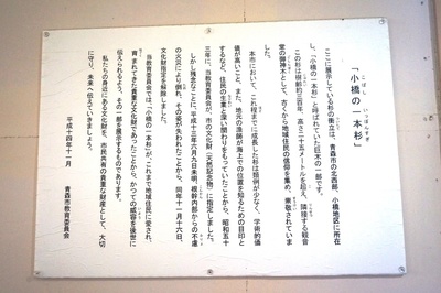 小橋の一本杉　衝立説明パネル