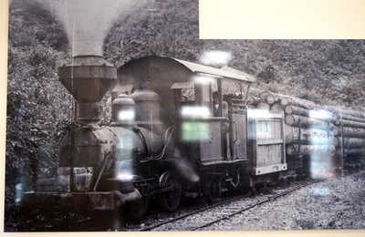 森林鉄道機関車