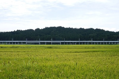 湯ノ沢館跡のある丘陵