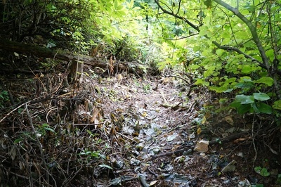 湯ノ沢館跡・窪地壕道