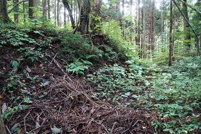 湯ノ沢館跡･山頂曲輪周壕と切岸