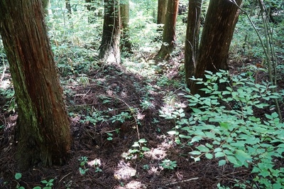 湯ノ沢館跡・二の陣地、東頂部の堀道