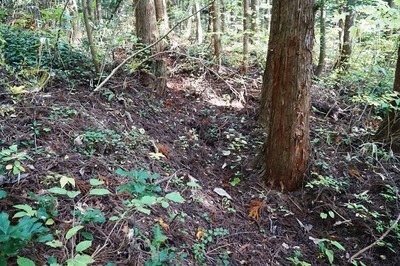 湯ノ沢館・Ｕ字形周壕域手前の空堀