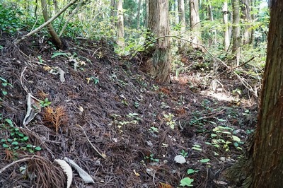 湯ノ沢館・Ｕ字形周壕域手前の空堀