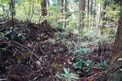 湯ノ沢館・山頂曲輪の周壕
