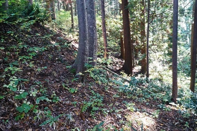 湯ノ沢館・山頂曲輪正面切岸