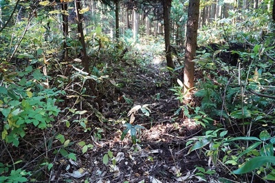 湯ノ沢館・古道壕道