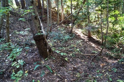 湯ノ沢館・二の陣地、東頂部 切岸