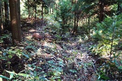 湯ノ沢館・古道と連絡道分岐点
