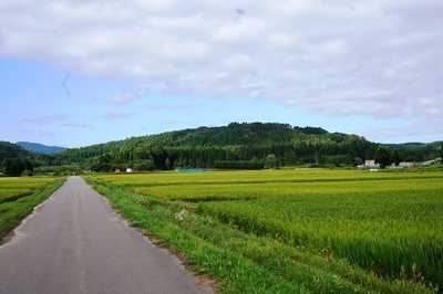 飛鳥山館跡のある丘陵＝飛鳥山
