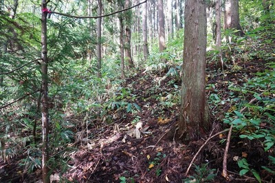 正面口　山側斜面の縁を登る