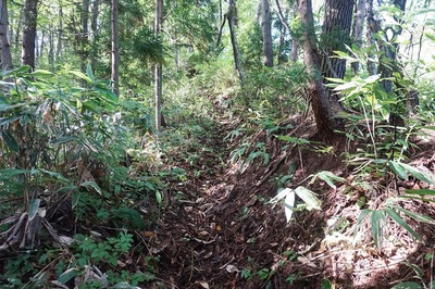 南西壕道➀　登山口と壕道の合流点から山頂へ登る