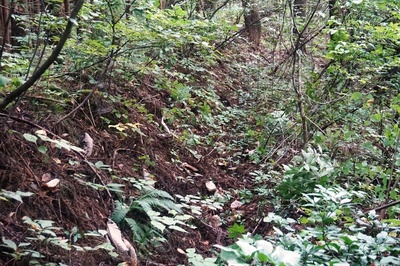 西壕道　５３番高圧電線鉄塔付近