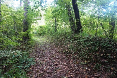 西壕道　鉄塔保安路と土塁