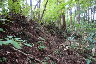 北壕道　登山道と壕道合流点付近の土塁
