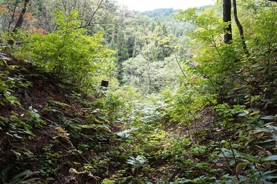 北壕道　壕道の土塁を切っている箇所