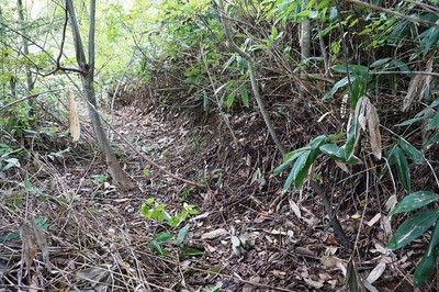 北壕道　高見台の切岸