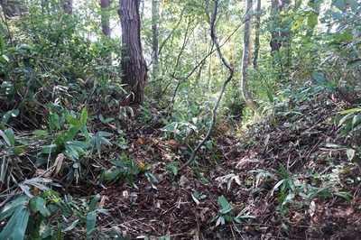 山頂周壕　合流点から北側にある虎口