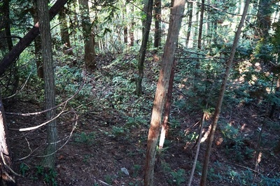 湯ノ沢館・二の陣地、東頂部 切岸の上から腰曲輪をみる